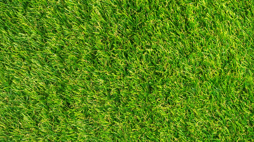 Comparaison visuelle entre pelouse naturelle jaunie et gazon synthétique verdoyant