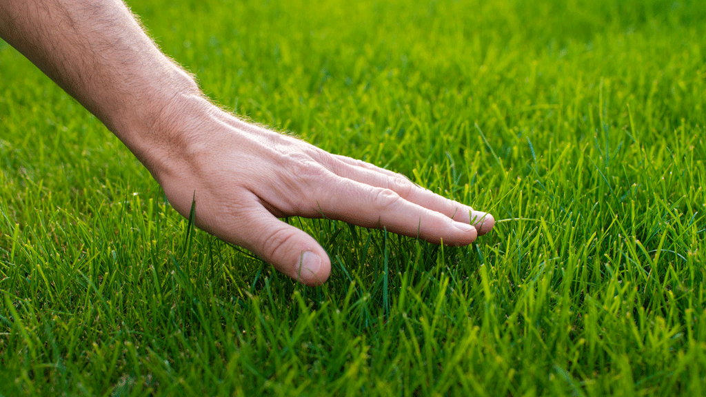 Texture détaillée de gazon synthétique 40mm avec main effleurant les brins